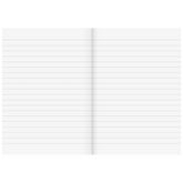 Notizbuch Premium Metallic | A5, kariert, sortiert